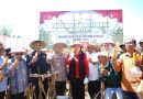 Panen Raya Jagung Serentak di Donggala, Sulteng Dukung Swasembada Pangan 2025