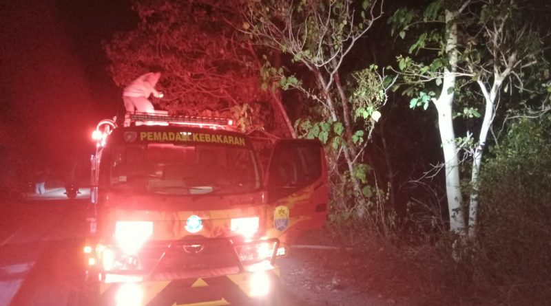 Kebakaran Lahan di Pegunungan Tanjung Simuntu, TNI-Polri Bersama Damkar dan Warga Berjibaku Padamkan Api