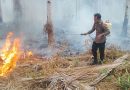 Dua Titik Karhutla Terjadi Bersamaan di Bangketa, Polsek Nuhon Turun Tangan