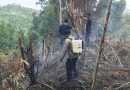 Cepat Tanggap, Bhabinkamtibmas dan Warga Padamkan Karhutla di Balantak