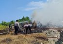 Personel Polsek Tawaeli Bantu Damkar Padamkan Kebakaran Lahan Eks PLTU di Kelurahan Panau