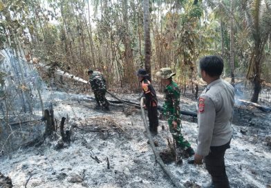 Polsek Bulagi Bersama TNI dan Damkar Gerak Cepat Padamkan Kebakaran di Desa Sambulangan