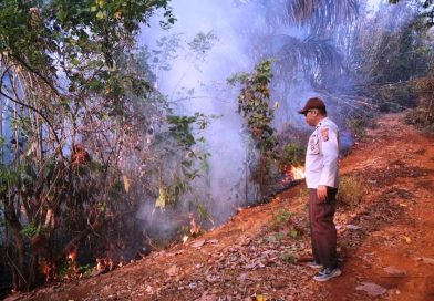 Polsek Bualemo Gerak Cepat Tangani Karhutla di Longkoga Barat, Api Berangsur Padam