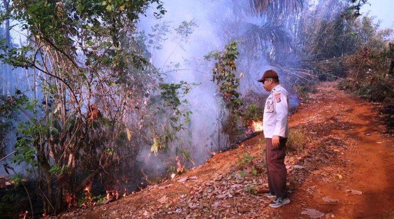 Polsek Bualemo Gerak Cepat Tangani Karhutla di Longkoga Barat, Api Berangsur Padam
