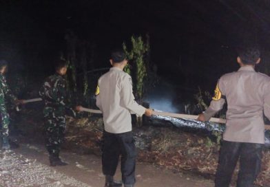 Kapolsek Ulubongka Beberkan Penanganan Karhutla di Tasiraa Tampanombo