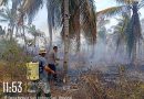 Dua Kali Terjadi Karhutla, Polisi Ingatkan Warga Pohi, Luwuk Timur Tak Sembarangan Bakar Lahan