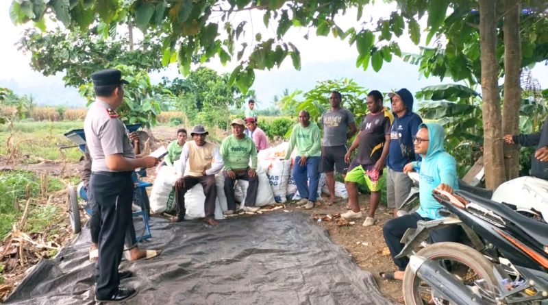 Cegah Kebakaran Hutan dan Lahan, Kapolsek Ogodeide IPTU Laurens Imbau Petani Jagung Desa Pagaitan Tidak Membuka Lahan dengan Membakar